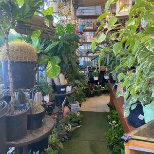 Meet your Posher, Vid